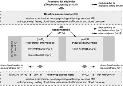 Impact of Resveratrol on Glucose Control, Hippocampal Structure and Connectivity, and Memory Performance in Patients with Mild Cognitive Impairment